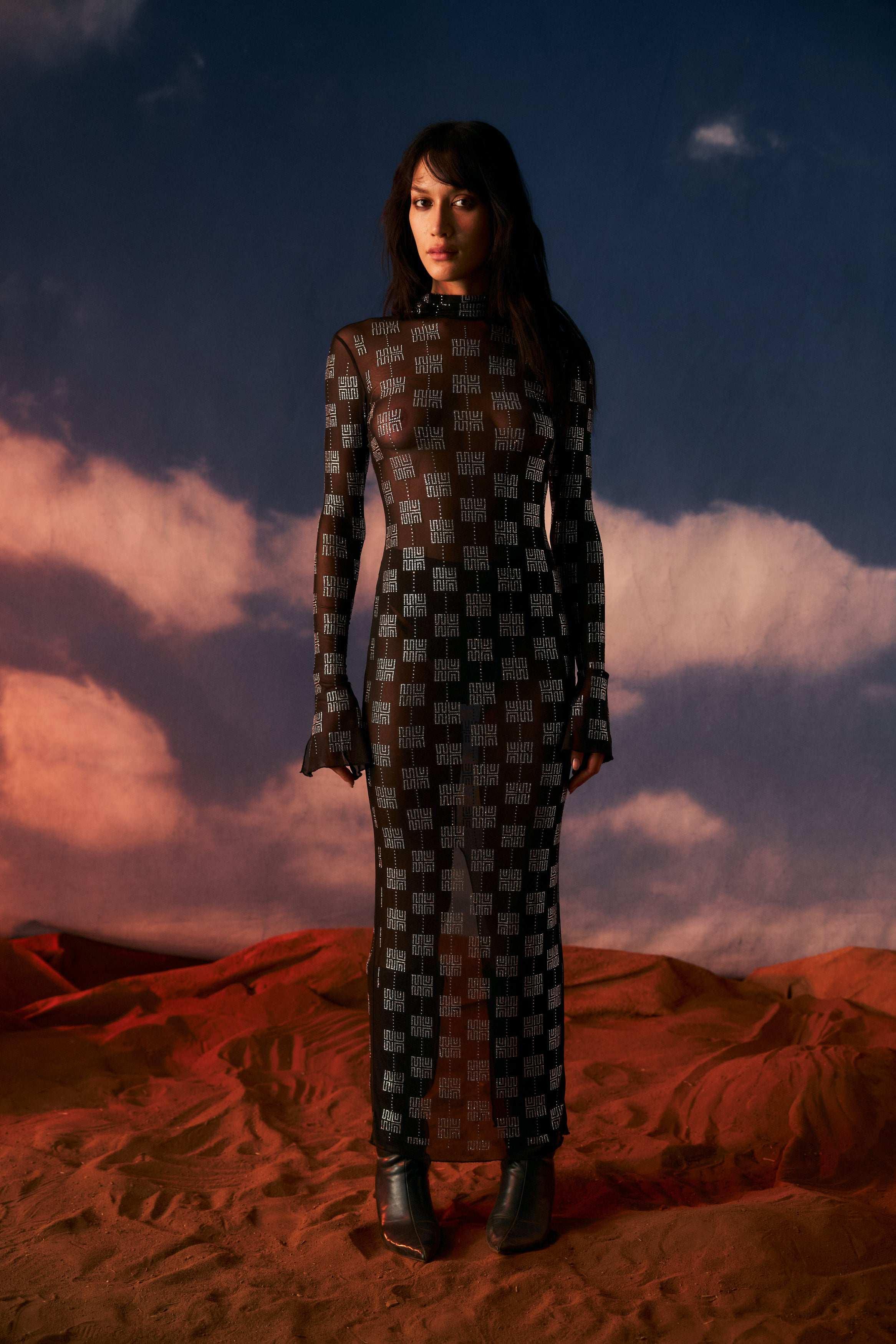 Phoenix Crystal-Embellished Night Mesh Dress - MUMA WORLD