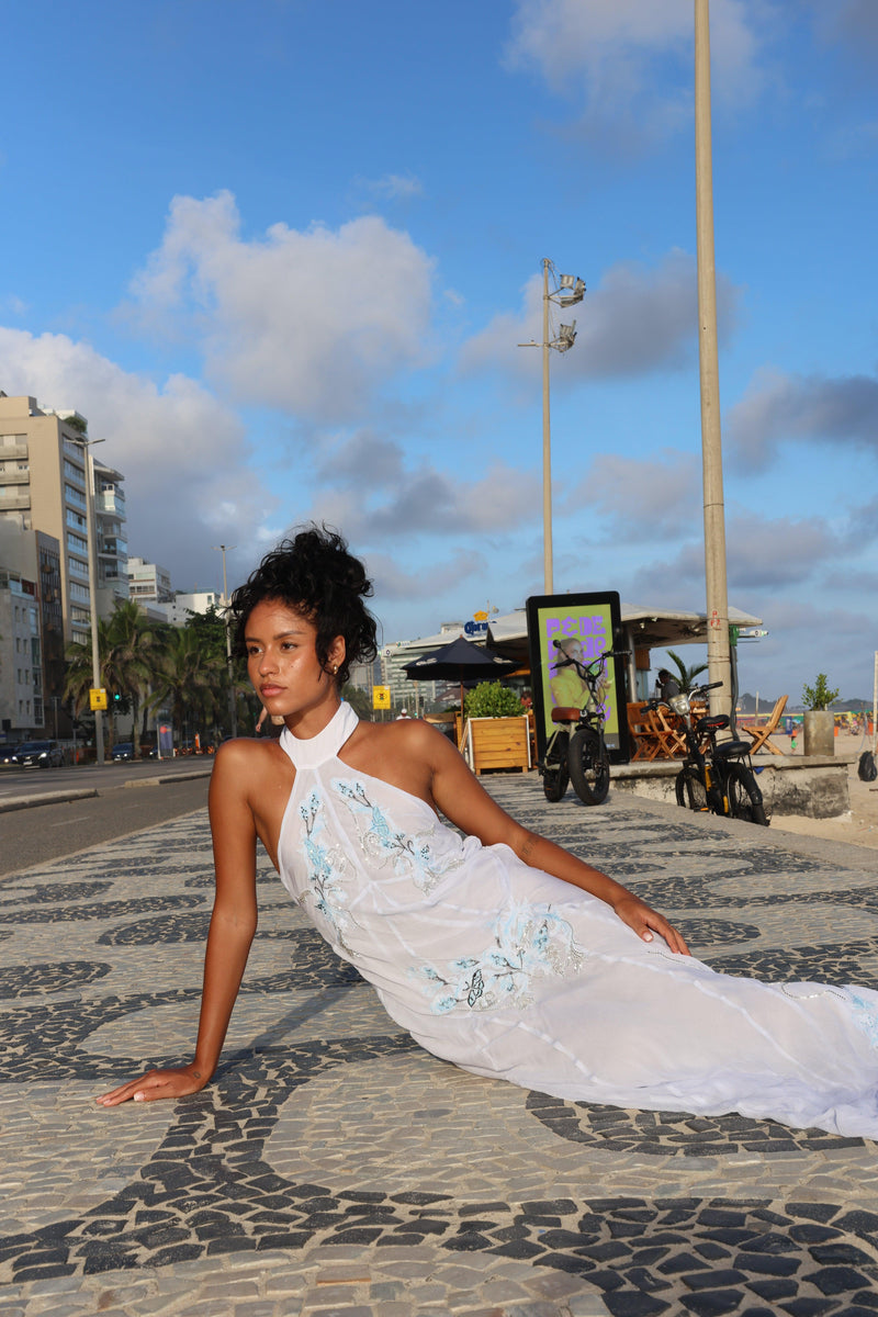 Blue Vine Embroidered Belmira Dress
