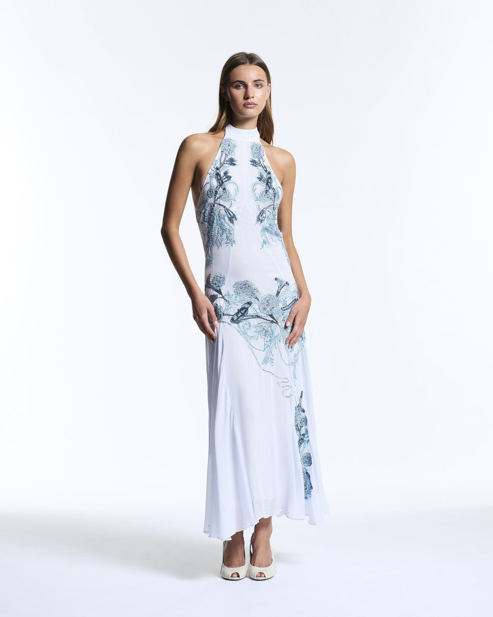 Blue Vine Embroidered Belmira Dress
